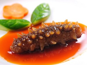 Đến Phú Quốc thưởng thức Hải Sâm bổ dưỡng